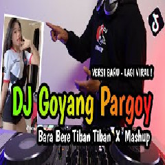 Download lagu Dj Opus - Dj Goyang Pargoy X Bara Bere Tiban Tiban