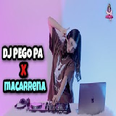 Download lagu Dj Imut - Dj Pego Pa X Macarrena