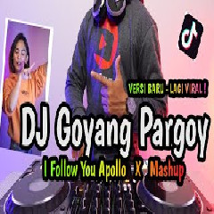 Download lagu DJ Opus - Dj Goyang Pargoy X I Follow You Apollo X Mashup