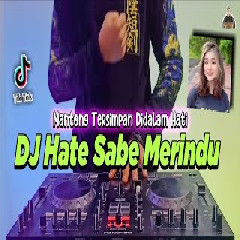 Download lagu Dj Didit - Dj Hate Sabe Merindu