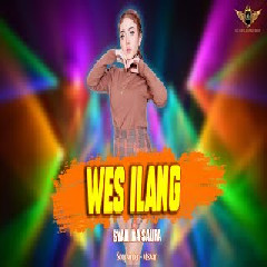Download lagu Syahiba Saufa - Wes Ilang