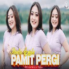 Download lagu Shinta Arsinta - Pamit Pergi