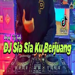 Download lagu Dj Didit - Dj Sia Sia Ku Berjuang