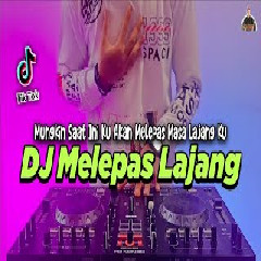 Download lagu Dj Didit - Dj Melepas Lajang Viral Tiktok