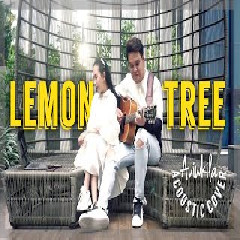 Aviwkila - Lemon Tree (Acoustic Cover)