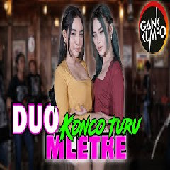 Download lagu Duo Mletre - Konco Turu