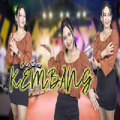 Download lagu Sela Silvina - Kembang Kertas