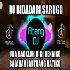Download lagu Abang Dj - Dj Bidadari Sarugo