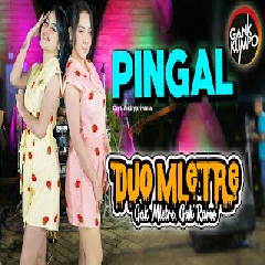 Download lagu Duo Mletre - Pingal