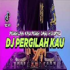 Download lagu Dj Didit - Dj Pergilah Kau Pergi Dari Hidupku Tiktok Viral Remix Full Bass