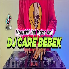 Download lagu Dj Didit - Dj Care Bebek Tiktok Viral Remix Full Bass Terbaru 2022