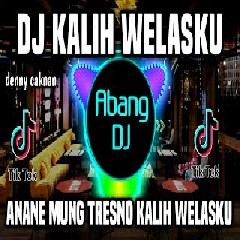 Abang Dj - Dj Kalih Welasku Remix Full Bass Viral Tiktok Terbaru 2023