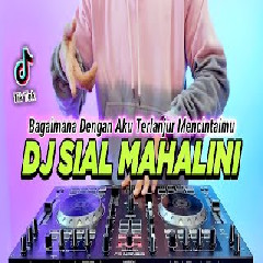 Download lagu Dj Didit - Dj Sial Mahalini Bagaimana Dengan Aku Terlanjur Mencintaimu Remix Full Bass