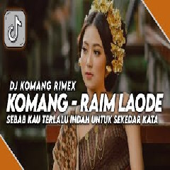 Dj Komang - Dj Sebab Kau Terlalu Indah Jedag Jedug Raim Laode Versi Remix Viral Tiktok 2023