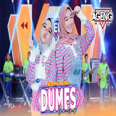 Download lagu Duo Ageng - Dumes Ft Ageng Music