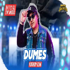 Download lagu Ndarboy Genk - Dumes