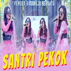Download lagu Lili Amora - Santri Pekok