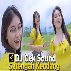 Download lagu Dj Reva - Dj Setengah Kendang Random Kecak Enak Buat Cek Sound