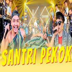 Download lagu Febri - Santri Pekok Ft Ilux ID