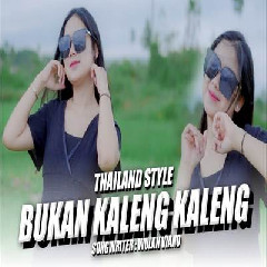 Download lagu Dj Topeng - Dj Bukan Kaleng Kaleng Thailand Style