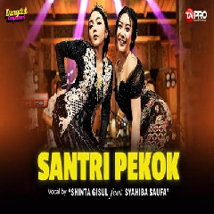 Download lagu Shinta Gisul - Santri Pekok Ft Syahiba Saufa (Dangdut Koplo Version)