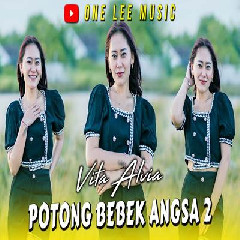 Download lagu Vita Alvia - Potong Bebek Angsa 2 Dj Remix