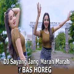 Download lagu Dj Tanti - Dj Sayang Jang Marah Marah