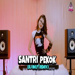 Download lagu Dj Imut - Dj Santri Pekok Viral
