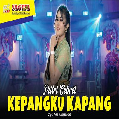 Download lagu Putri Cebret - Kepangku Kapang