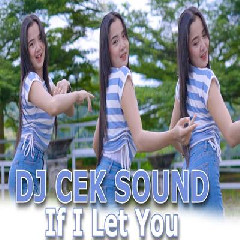 Download lagu Dj Tanti - Dj Cek Sound If I Let You Bass Horeg